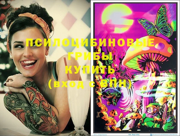 хмурый Гусиноозёрск