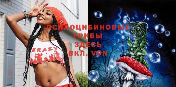 ECSTASY Ладушкин